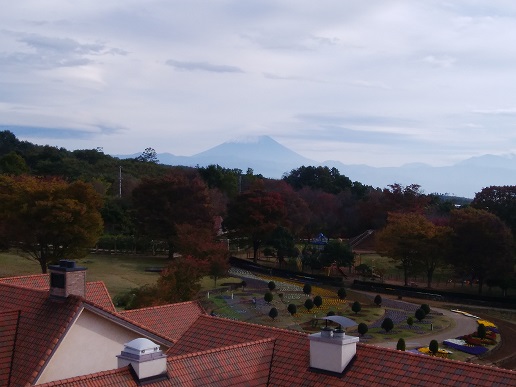 展望塔から富士山を望む