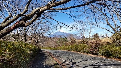 富士山が綺麗に見えていたので一枚