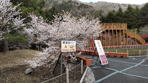 富士芝桜まつり 展望台もあります