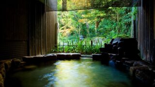 斐川町・湯の川温泉(島根県)のホテル・旅館一覧＆「今日泊まれる宿」