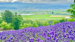 富良野市(北海道)のホテル・旅館一覧＆「今日泊まれる宿」