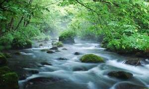 十和田湖・奥入瀬(青森県)のホテル・旅館一覧＆「今日泊まれる宿」